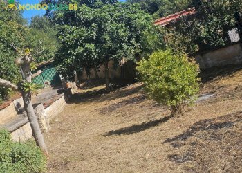 Foto 36 - Casa indipendente strada di valle cupa
 
12, Palombara Sabina - foto 36