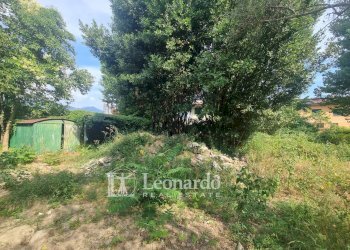 Foto 22 - Villa via Dallapiccola, Forte dei Marmi - foto 18