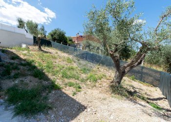 Giardino - Appartamento Via Carlo Cattaneo
 
1, Monterotondo - foto 33