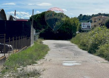 Giardino - Capannone Fano - foto 11