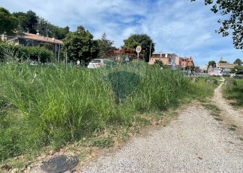 Giardino - Capannone Fano - foto 12