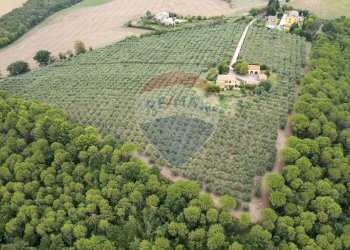 Giardino - Villa CONTRADA LAMATICCI
 
26, Morrovalle - foto 6