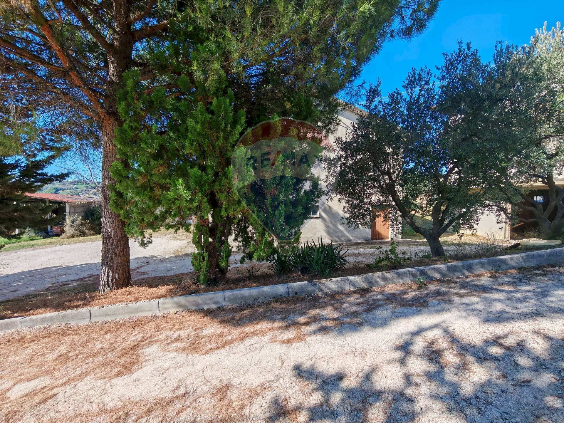 Giardino - Casa indipendente CONTRADA FONTEROSA
 
6, Montelupone - foto 3
