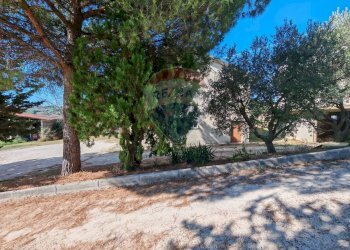 Giardino - Casa indipendente CONTRADA FONTEROSA
 
6, Montelupone - foto 6