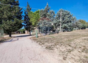 Giardino - Casa indipendente CONTRADA FONTEROSA
 
6, Montelupone - foto 30