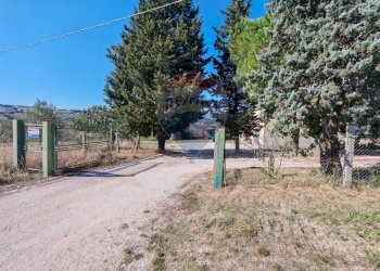 Giardino - Casa indipendente CONTRADA FONTEROSA
 
6, Montelupone - foto 31