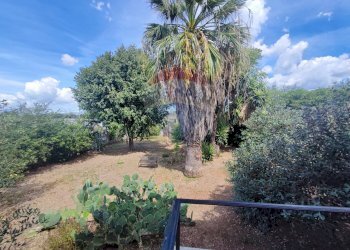 Giardino - Villa Località Feroni
 
snc, Sessa Aurunca - foto 68