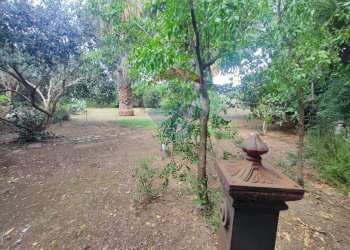 Giardino - Villa Località Feroni
 
snc, Sessa Aurunca - foto 70