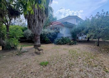 Giardino - Villa Località Feroni
 
snc, Sessa Aurunca - foto 73