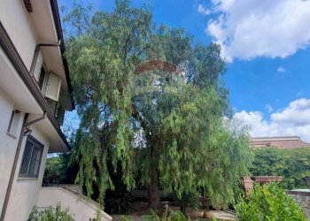 Giardino - Villa Località Feroni
 
snc, Sessa Aurunca - foto 75