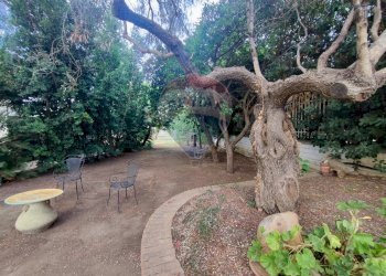 Giardino - Villa Località Feroni
 
snc, Sessa Aurunca - foto 81