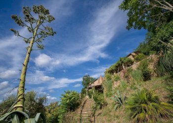 Foto 61 - Rustico Volterra - foto 61