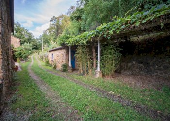 Foto 64 - Rustico Volterra - foto 64