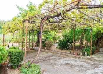 Foto 3 - Appartamento Imperia - foto 3