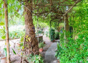 Foto 56 - Appartamento Imperia - foto 56