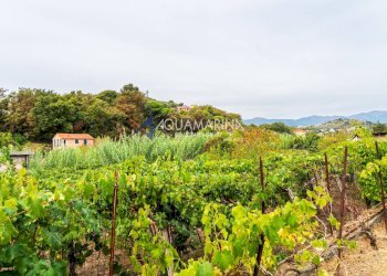 Foto 64 - Appartamento Imperia - foto 64