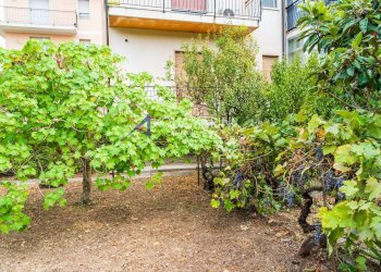 Foto 65 - Appartamento Imperia - foto 65