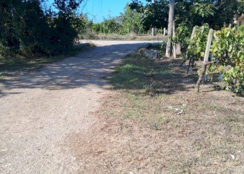 Foto 2 - Rustico via cortigliano
 
nd, Capaccio Paestum - foto 2