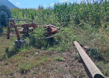 Foto 4 - Rustico via cortigliano
 
nd, Capaccio Paestum - foto 4