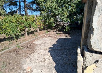 Foto 5 - Rustico via cortigliano
 
nd, Capaccio Paestum - foto 5