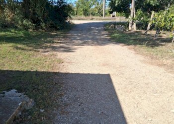 Foto 6 - Rustico via cortigliano
 
nd, Capaccio Paestum - foto 6