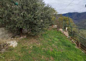 Foto 22 - Bilocale VIA COSTA
 
88, Adrara San Martino - foto 22