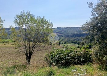 Rustico Via Fogliano, Roncofreddo - foto 9