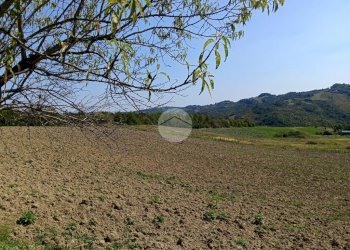 Rustico Via Fogliano, Roncofreddo - foto 11
