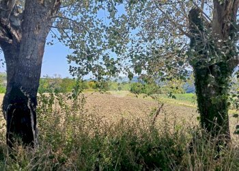 Rustico Via Fogliano, Roncofreddo - foto 19