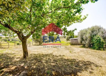 Foto 36 - Villa Via E.Torricelli
 
6, Pomezia - foto 36