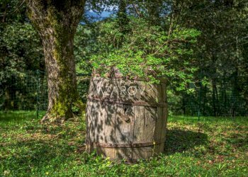 Villa Bagnone - foto 14