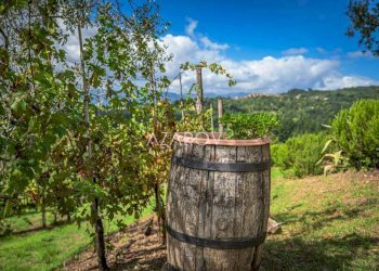 Villa Bagnone - foto 20