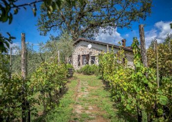 Villa Bagnone - foto 21