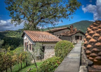 Villa Bagnone - foto 22