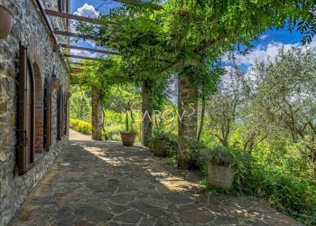 Villa Bagnone - foto 64