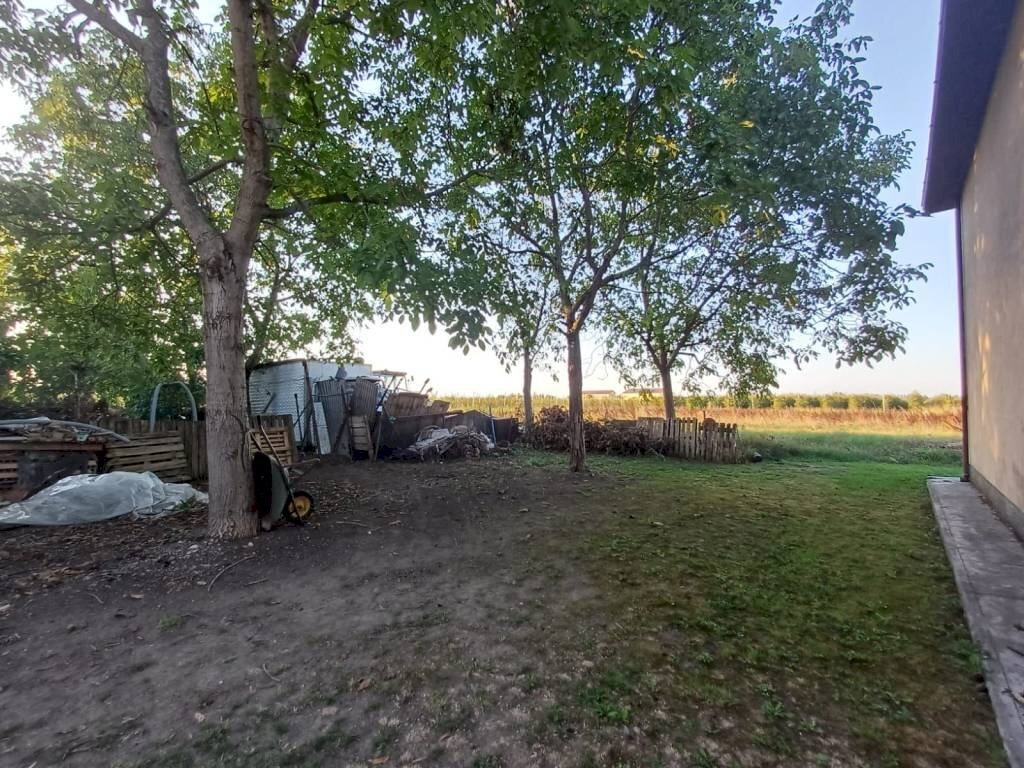 Terreno - Villa via Ivaldo Aguzzoli, Carpi - foto 1