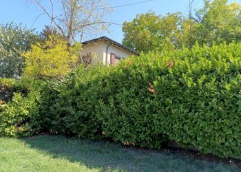 Giardino - Villa via Ivaldo Aguzzoli, Carpi - foto 4