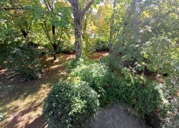 Terreno - Villa via Ivaldo Aguzzoli, Carpi - foto 10