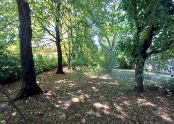 Terreno - Villa via Ivaldo Aguzzoli, Carpi - foto 12