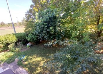 Giardino - Villa via Ivaldo Aguzzoli, Carpi - foto 15