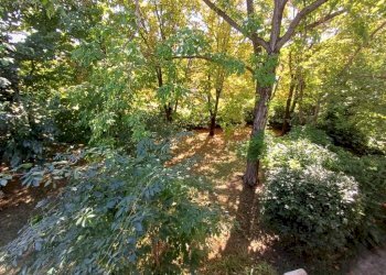 Giardino - Villa via Ivaldo Aguzzoli, Carpi - foto 16