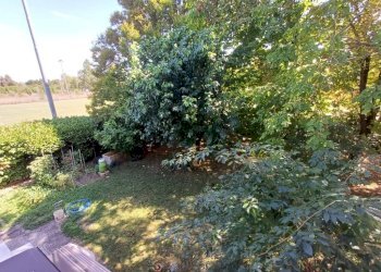 Giardino - Villa via Ivaldo Aguzzoli, Carpi - foto 18