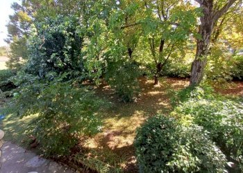 Giardino - Villa via Ivaldo Aguzzoli, Carpi - foto 19