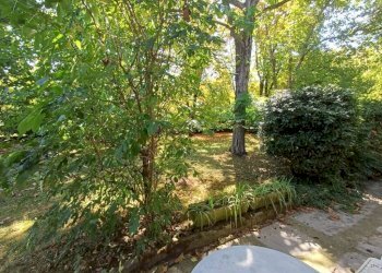 Giardino - Villa via Ivaldo Aguzzoli, Carpi - photo 22
