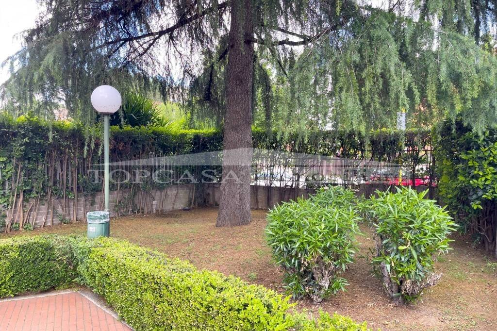 Giardino - Quadrilocale via Valerico Laccetti, 24, Roma - foto 3