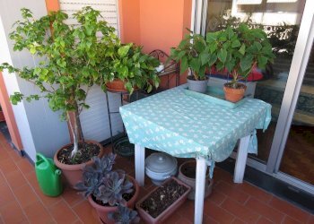 Trilocale Via San Martino, 61A, Genova (zona San Martino) - foto 7