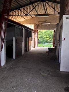 Capannone Via Gianassi, Cantalupo Ligure - foto 2