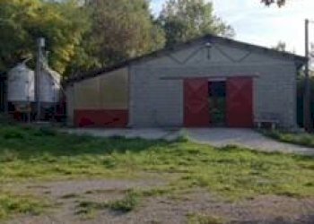 Capannone Via Gianassi, Cantalupo Ligure - foto 1