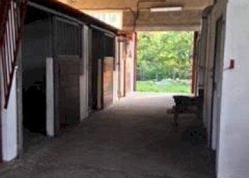 Capannone Via Gianassi, Cantalupo Ligure - foto 2