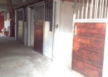 Capannone Via Gianassi, Cantalupo Ligure - foto 3